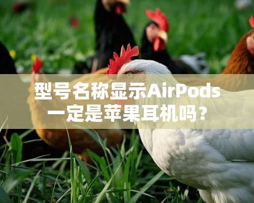 型号名称显示AirPods一定是苹果耳机吗？