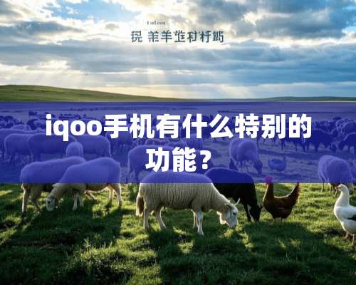 iqoo手机有什么特别的功能？