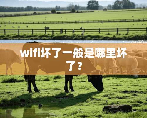 wifi坏了一般是哪里坏了？