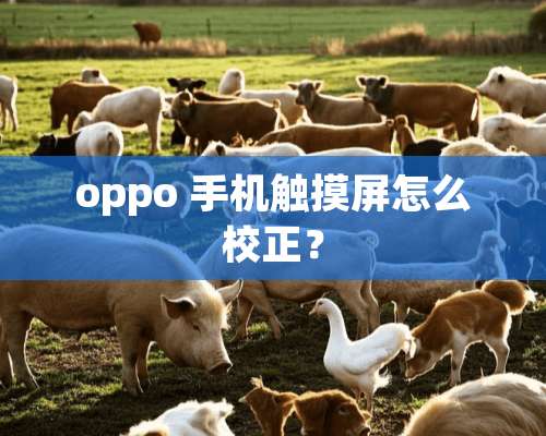 oppo 手机触摸屏怎么校正？