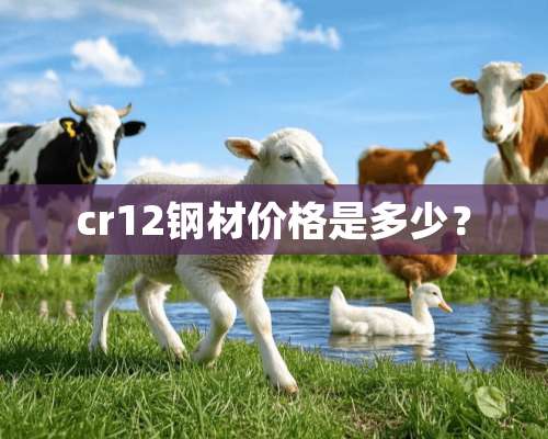 cr12钢材价格是多少？