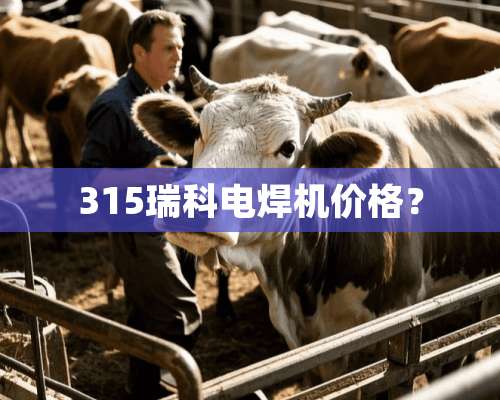 315瑞科电焊机价格？