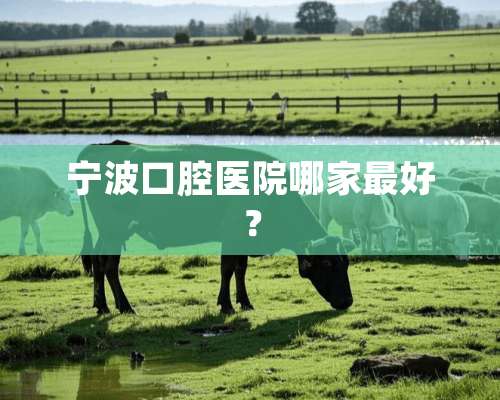 宁波口腔医院哪家最好？