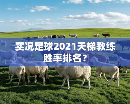 实况**2021天梯教练胜率排名？