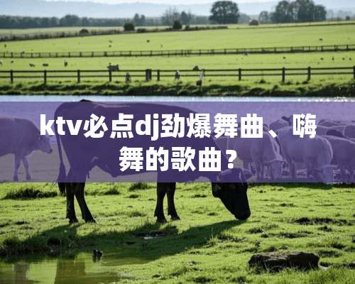 ktv必点dj劲爆舞曲、嗨舞的歌曲？