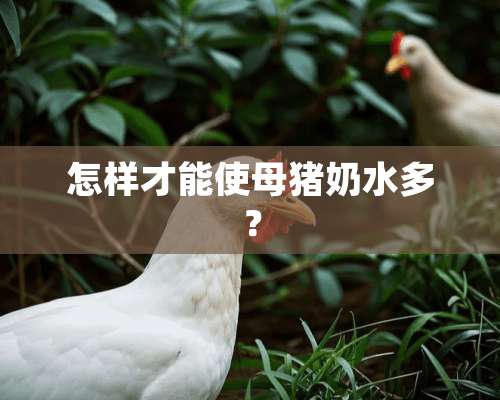 怎样才能使母猪奶水多？