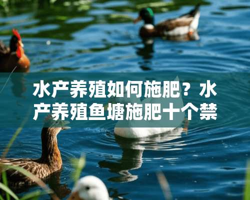 水产养殖如何施肥？水产养殖鱼塘施肥十个禁忌（图）