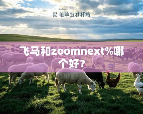 飞马和zoomnext%哪个好？