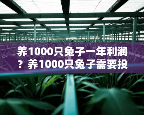 养1000只兔子一年利润？养1000只兔子需要投资多少钱？