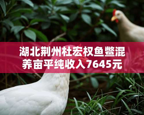 湖北荆州杜宏权鱼鳖混养亩平纯收入7645元