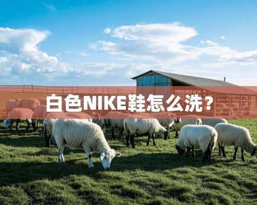 白色NIKE鞋怎么洗？