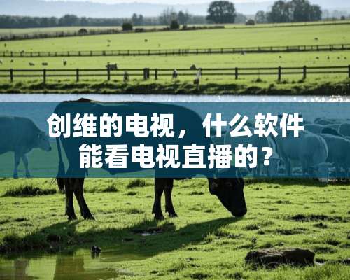 创维的电视，什么软件能看电视直播的？