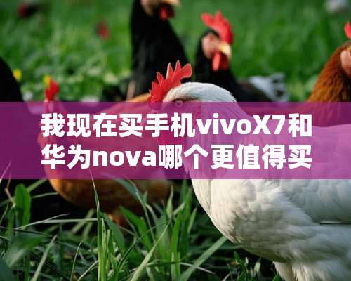 我现在买手机vivoX7和华为nova哪个更值得买？