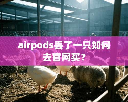 airpods丢了一只如何去官网买？