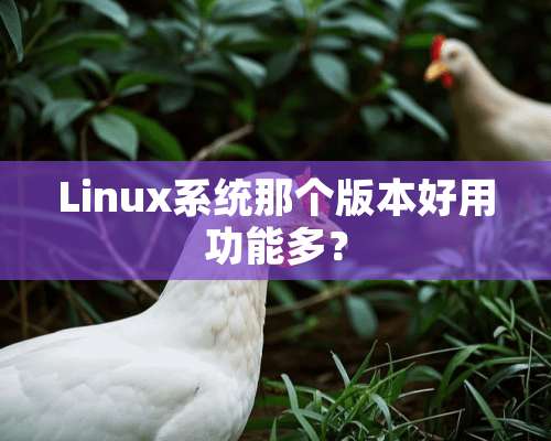 Linux系统那个版本好用功能多？