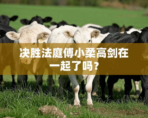 决胜法庭傅小柔高剑在一起了吗？