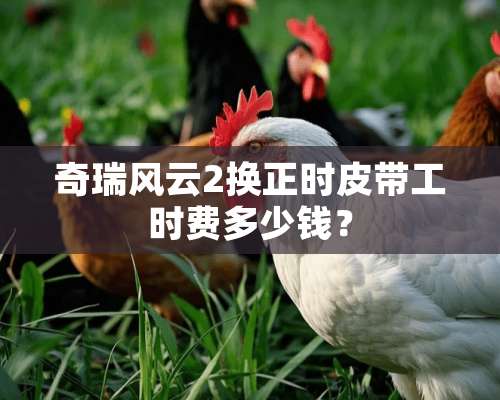 奇瑞风云2换正时皮带工时费多少钱？