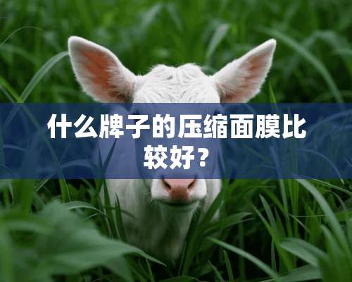 什么牌子的压缩面膜比较好？