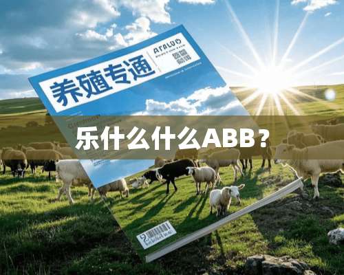 乐什么什么ABB？