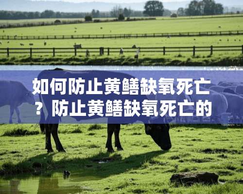 如何防止黄鳝缺氧死亡？防止黄鳝缺氧死亡的八个方法