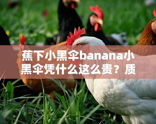 蕉下小黑伞banana小黑伞凭什么这么贵？质量真的很好吗？