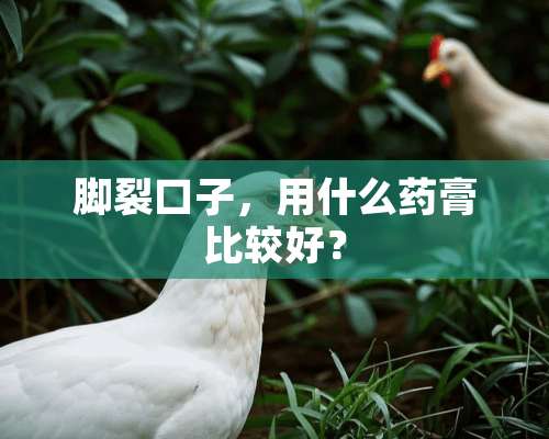 脚裂口子，用什么药膏比较好？