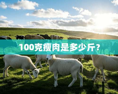 100克瘦肉是多少斤？