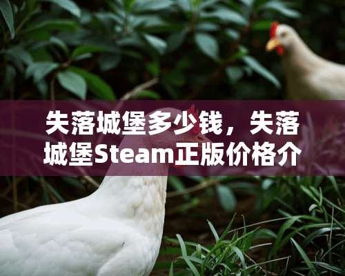 失落城堡多少钱，失落城堡Steam正版价格介绍？