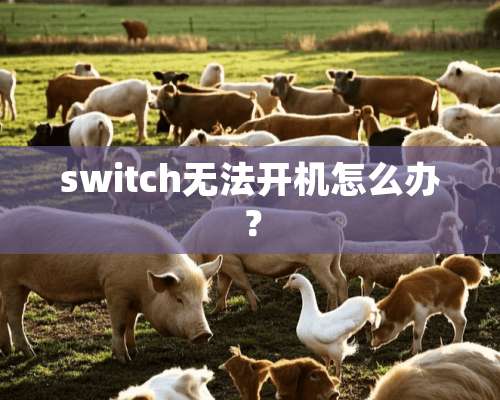 switch无法开机怎么办？