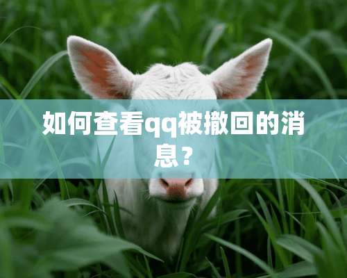 如何查看qq被撤回的消息？