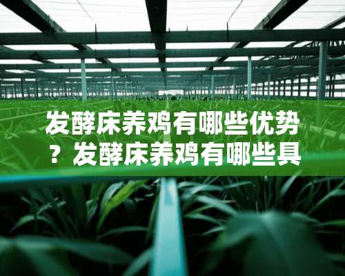 发酵床养鸡有哪些优势？发酵床养鸡有哪些具体流程？