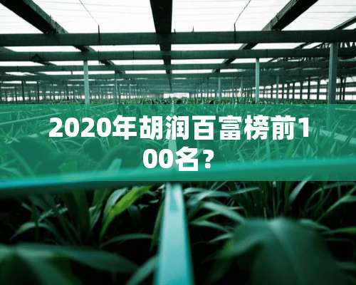 2020年胡润百富榜前100名？