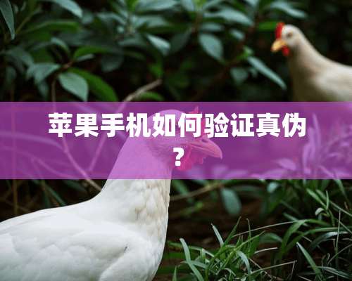 苹果手机如何验证真伪？