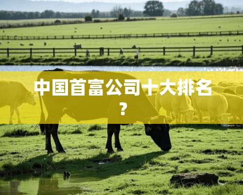 中国首富公司十大排名？