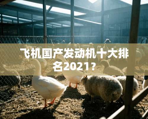 飞机国产发动机十大排名2021？