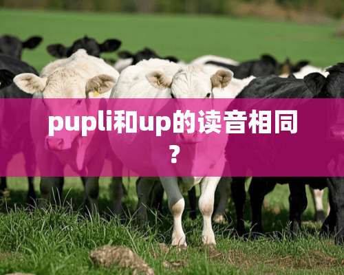 pupli和up的读音相同？