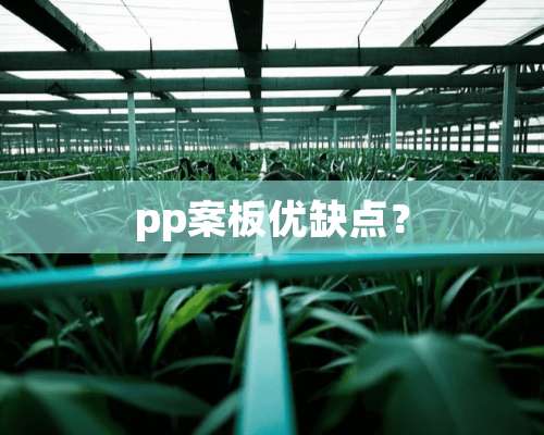 pp案板优缺点？