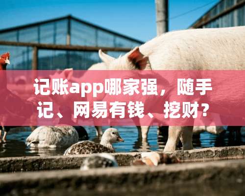 记账app哪家强，随手记、网易有钱、挖财？