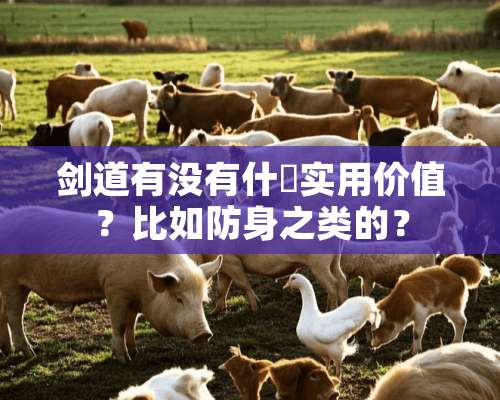 剑道有没有什麼实用价值？比如防身之类的？