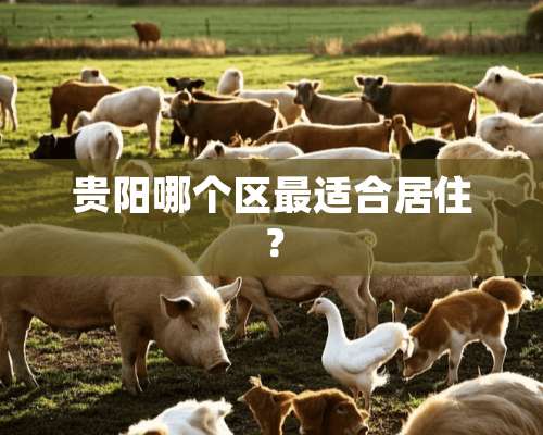 贵阳哪个区最适合居住？