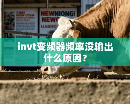 invt变频器频率没输出什么原因？