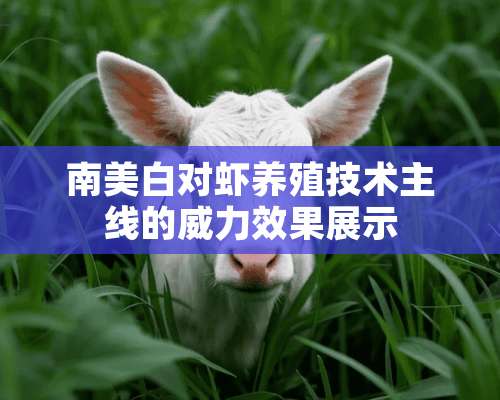 南美白对虾养殖技术主线的威力效果展示