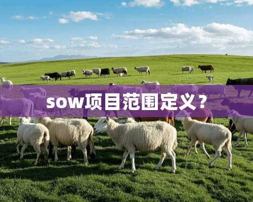 sow项目范围定义？