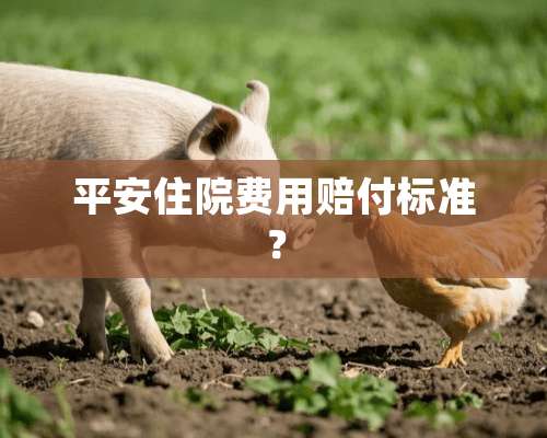 平安住院费用赔付标准？