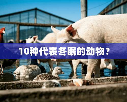 10种代表冬眠的动物？