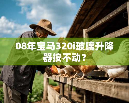 08年宝马320i玻璃升降器按不动？