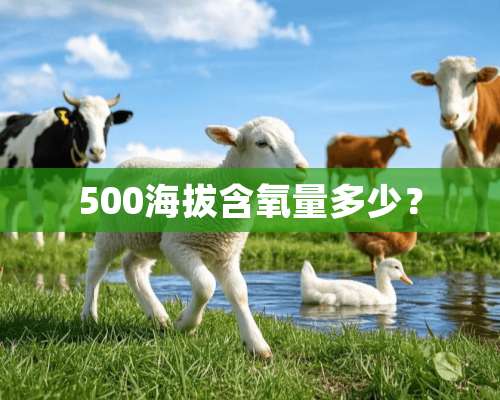 500海拔含氧量多少？