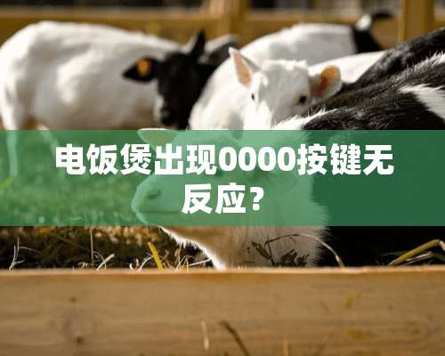 电饭煲出现0000按键无反应？