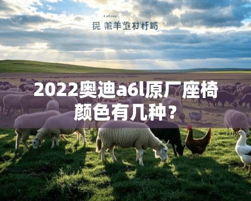 2022奥迪a6l原厂座椅颜色有几种？