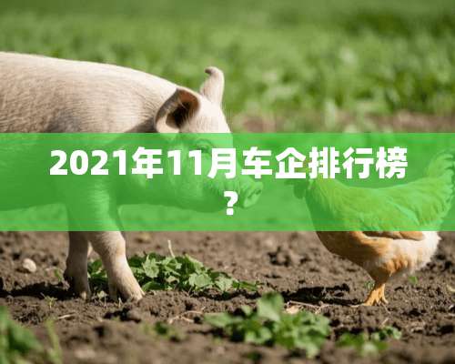 2021年11月车企排行榜？